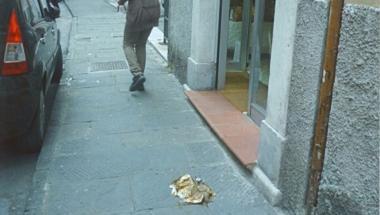 Sporco di cani in via Ulivi                