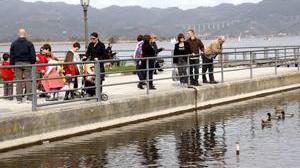 C'è l'alga, non avvicinatevi al lago Irrita pelle, polmoni, intestino