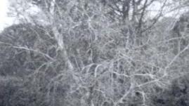 Il Parco del Bargo a Poggio
