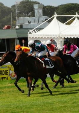 <b>IPPICA. </b>Un arrivo a San Rossore 