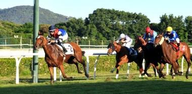 Una corsa sulla pista dellippodromo Caprilli 