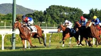 Una corsa sulla pista dell’ippodromo Caprilli