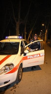 Controlli in pineta