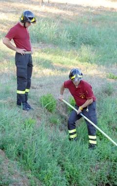 <b>VIGILI </b>del fuoco impegnati ieri mattina 