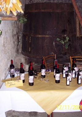 Numerosi doc della Val di Cornia inseriti nella guida di Slow Food