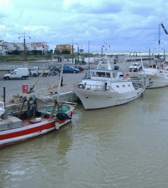 <b>ORMEGGIATI </b>I pescherecci lungo il canale del porto di Castiglione  