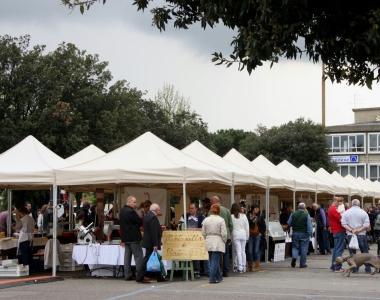 I banchi del mercato Terra di Prato     