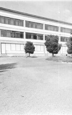 La scuola Staffetti avr&agrave; energia dal sole 