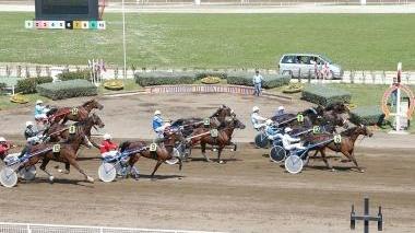 Il convegno di corse all’ippodromo Sesana inizia alle 15,15