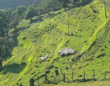 Unazienda agricola       