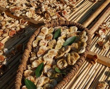 Si conclude oggi la festa “Benvenuto fico secco”