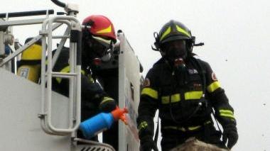 Vigili del fuoco impegnati nella bonifica di un nido d’insetti su un tetto