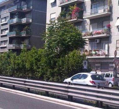 <b>LA STORIA. </b>Pierluigi Solinas, 69 anni, mostra una delle multe A sinistra, viale Etruria a Firenze dove &egrave; installato lautovelox 