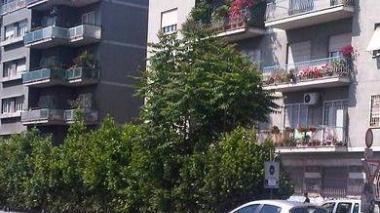 <b>LA STORIA. </b>Pierluigi Solinas, 69 anni, mostra una delle multe A sinistra, viale Etruria a Firenze dove è installato l’autovelox