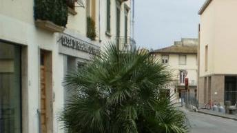 La fioriera all’angolo di via Sauro