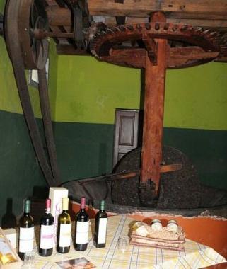 Bottiglie di olio doliva 