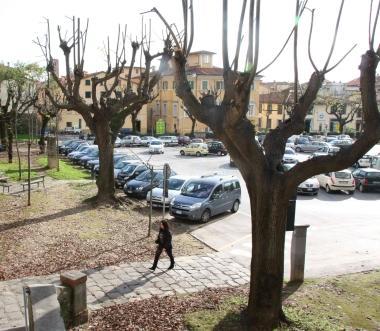 Parcheggi, sconti e zone gratis