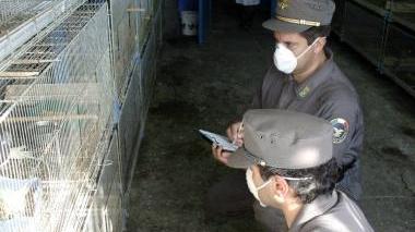 Guardie forestali al lavoro