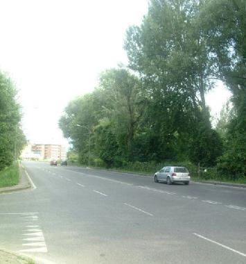 Viale Einaudi a S. Anna    