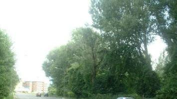 Viale Einaudi a S. Anna