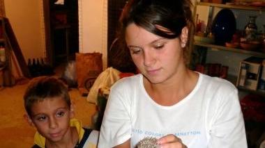 Il cucciolo di riccio nella cantina della famiglia Colombini a Corte Brogi