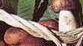 <b>FUNGHI.</b> Prelibatezze del bosco ma anche fonte di reddito