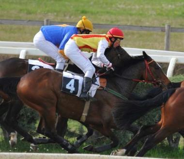 <b>GALOPPO.</b> Una corsa al Casalone 