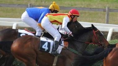 <b>GALOPPO.</b> Una corsa al Casalone