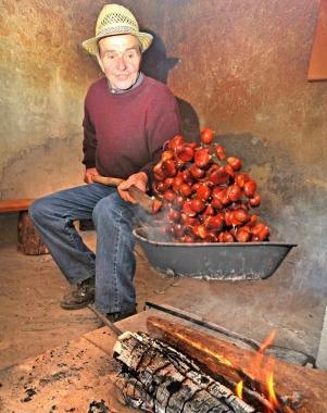 Festa delle castagne
