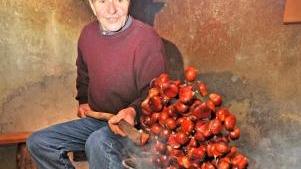 Festa delle castagne
