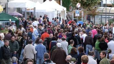 Gran successo delle feste nel borgo di Sassetta