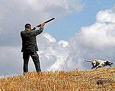 Caccia allo storno, è polemica per la deroga non concessa