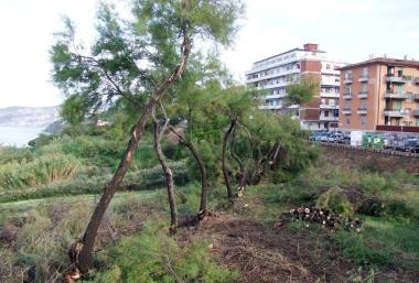 Bloccato dalla Soprintendenza lintervento in viale Amendola 