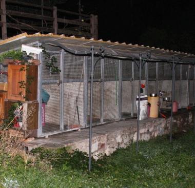 La pensione per cani senza permessi 