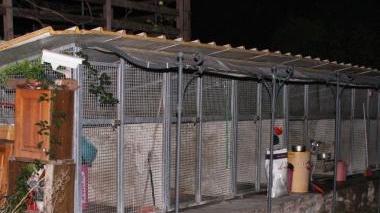 La pensione per cani senza permessi