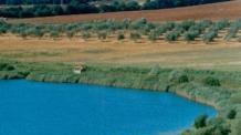 Il Lago dell’Accesa