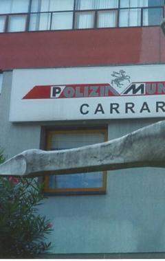 La "Colomba della pace" di Carlo Sergio Signori diventata nera per la resina dell'albero: andrebbe protetta