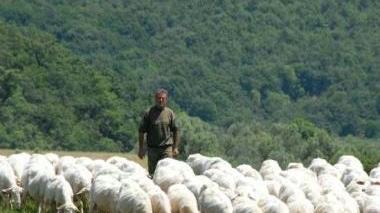Un progetto per la lana di scarto