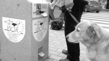 In arrivo i sacchetti per i bisogni dei cani