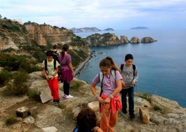 Il viaggio a Ponza 