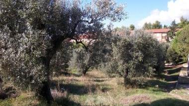 L’area interessata alla costruzione