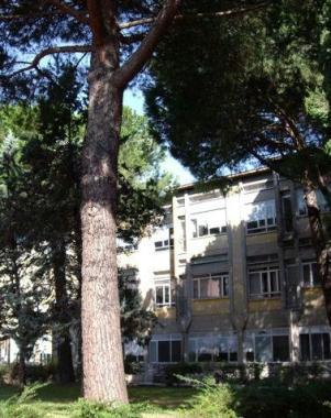 Il giardino dellIpsia 