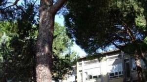 Il giardino dell’Ipsia