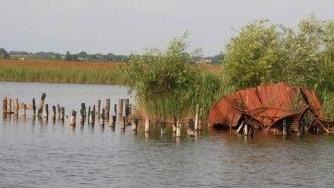 <b>LA MORTE DEL LAGO.</b> Una bella foto delle condizioni attuali del Massaciuccoli