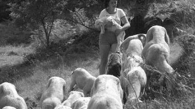Sempre più dura la vita dei pastori