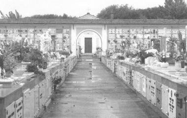 Trasporto gratuito della Misericordia
