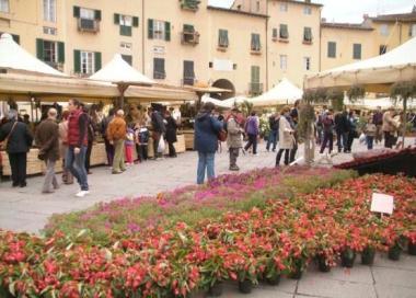 La produzione floricola locale alla mostra di S. Zita 