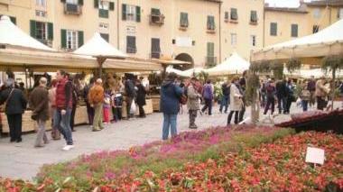 La produzione floricola locale alla mostra di S. Zita