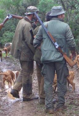 <b>CACCIA AL CINGHIALE</b> Una squadra nella macchia maremmana      