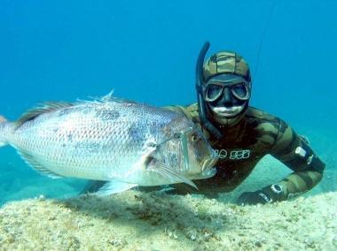  NIENTE PESCA SUB. Confermato il divieto di pesca subacquea in tutta l'area marina protetta.